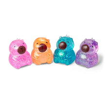 Load image into Gallery viewer, Preorder Scrunchems® Sugar Capybara Squishy Fidget Toy (1pc) Assorted